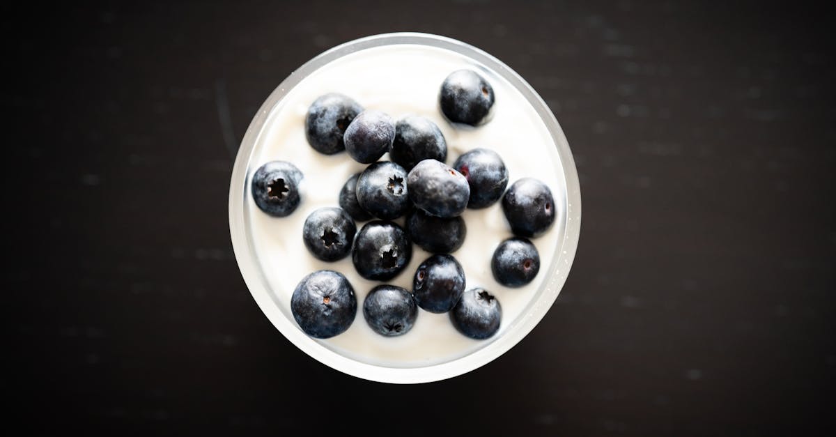 Qu’est-ce que les rich snippets et comment améliorer votre SEO